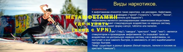 шишки Богородицк